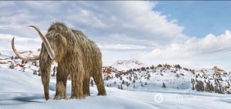 Reviving the Mammoth: New Challenges for Scientists