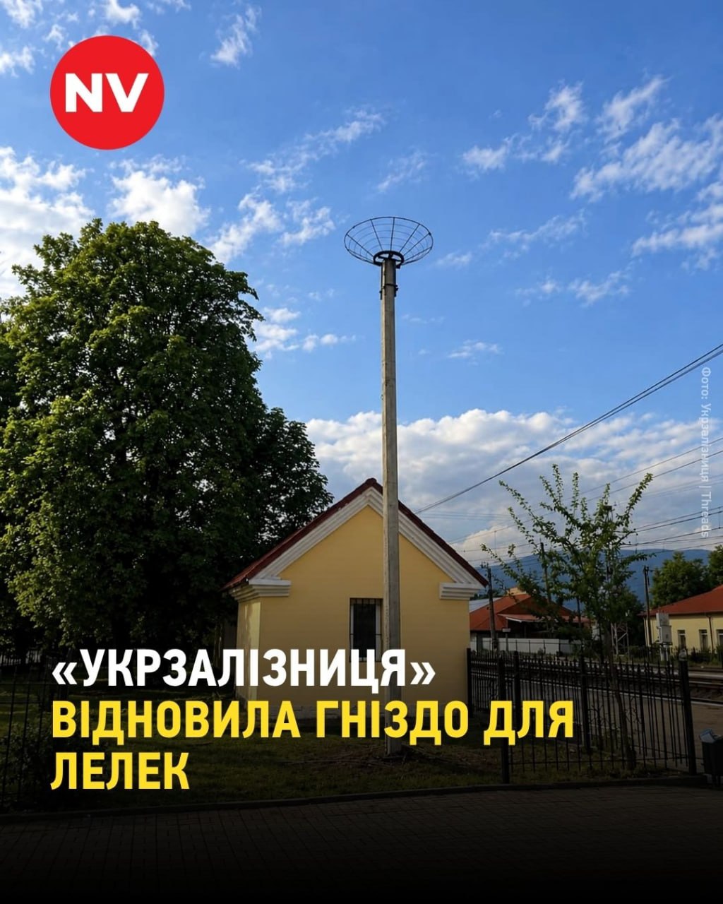 Укрзалізниця відновила гніздо для лелек у Сваляві