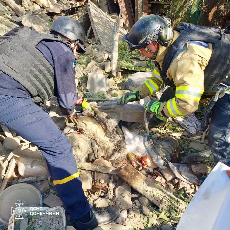 Airstrikes in Donetsk Region: Casualties and Destruction