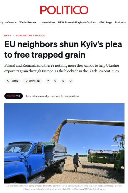Скорочення посівних площ в Україні через блокаду експорту агропродукції