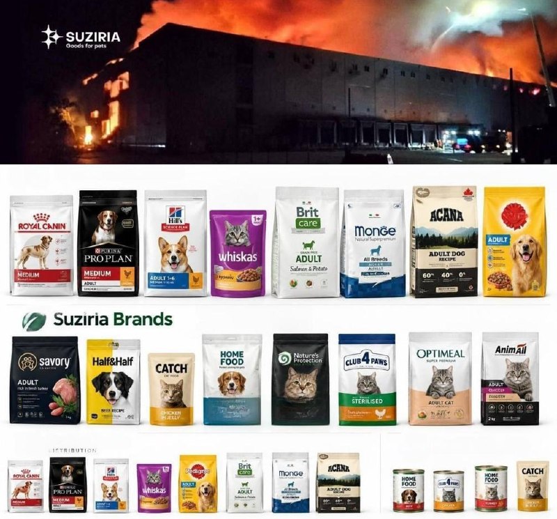 Logistics Hub of Pet Product Distributor Destroyed Near Kyiv