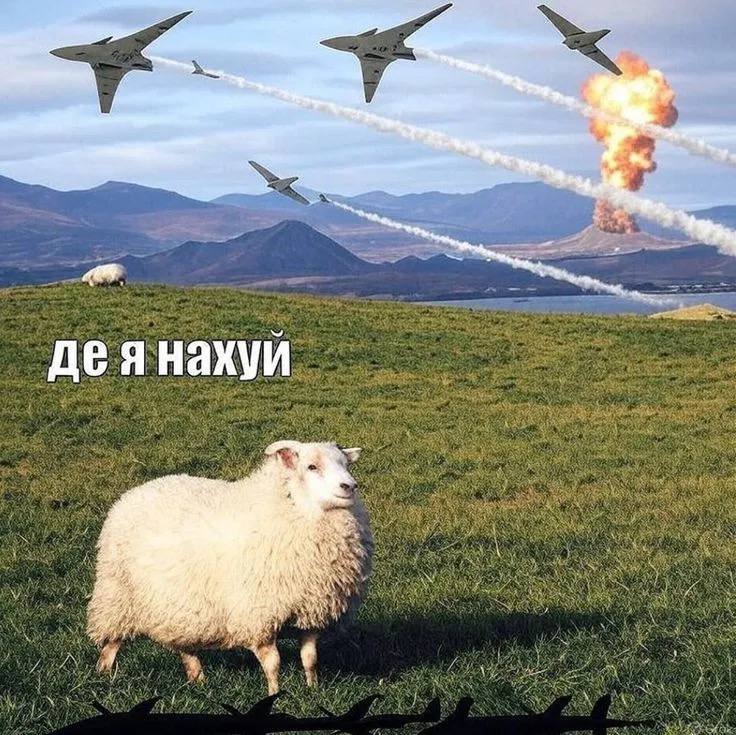 Загроза нових атак на Київ: 90 реактивних БпЛА на пусковій локації в Орловській області